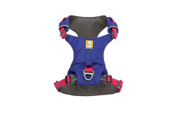 ハックルベリーブルー