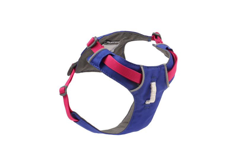 ハックルベリーブルー