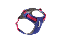 ハックルベリーブルー