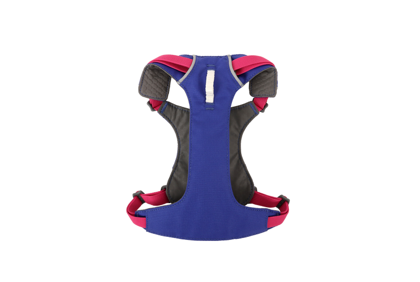 ハックルベリーブルー