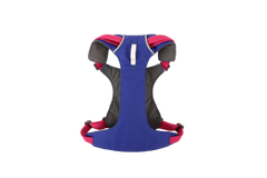 ハックルベリーブルー