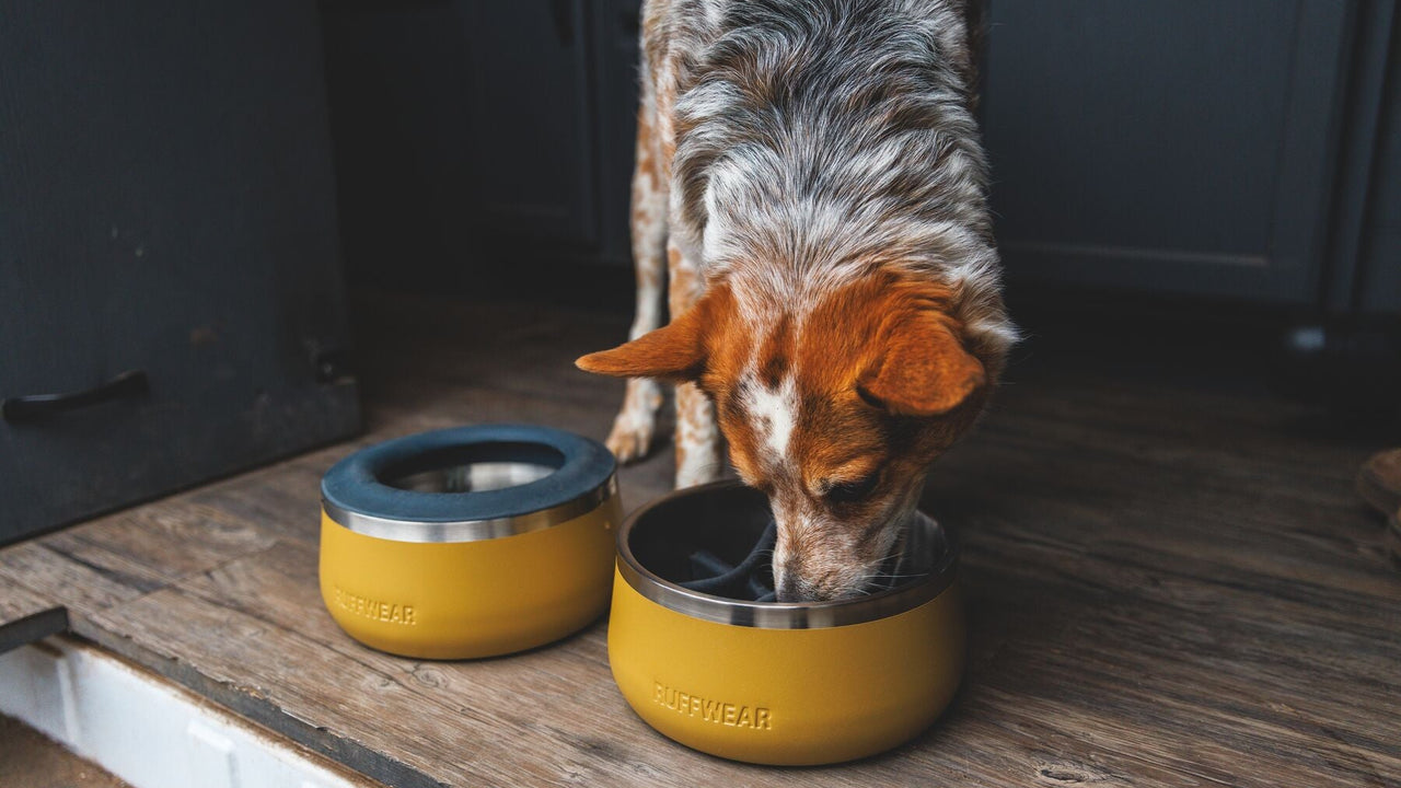 ぴったりフィット