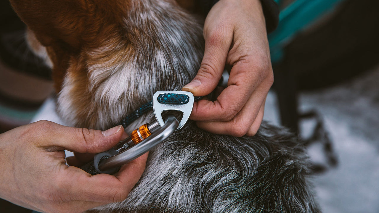 しっかりと接続