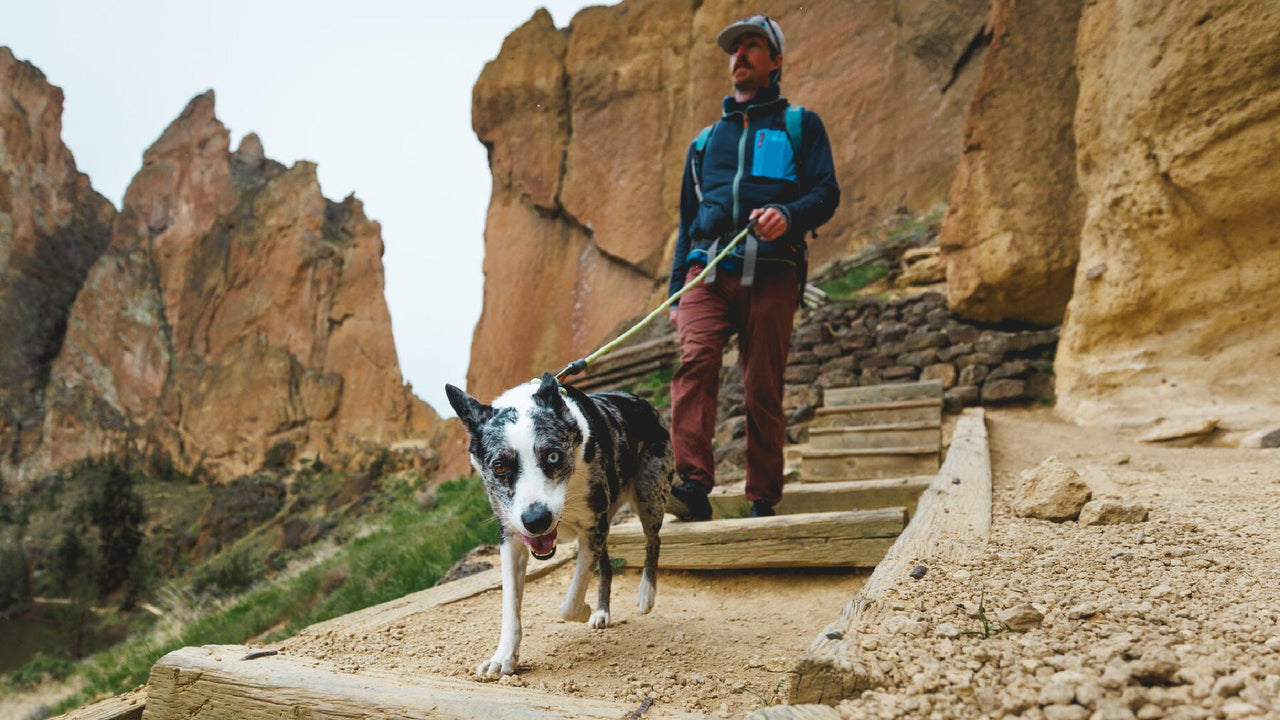 しっかりと接続