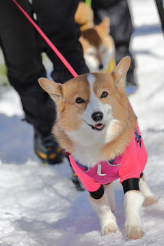 りん