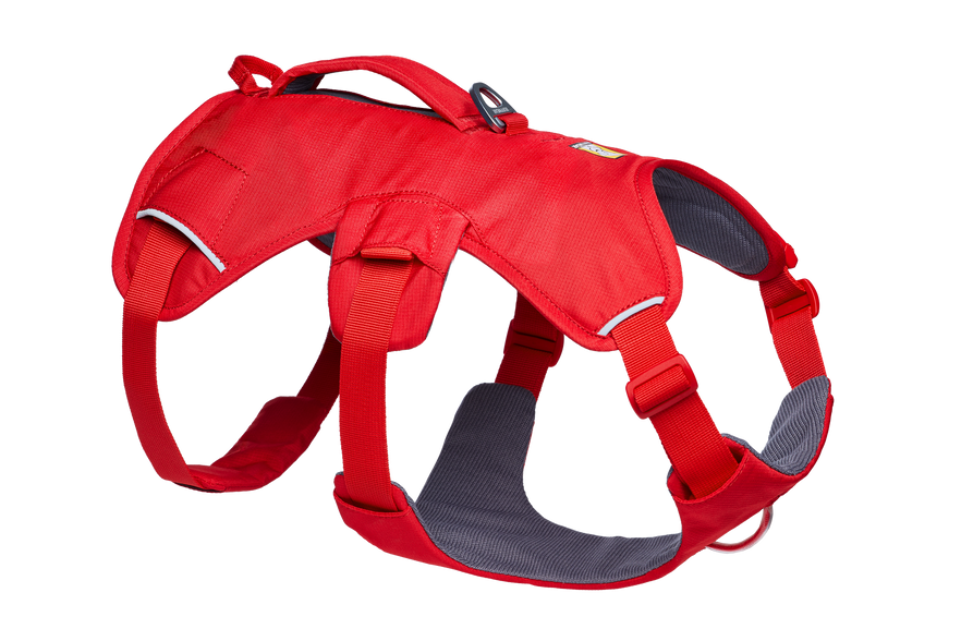 楽天市場】【最大1000円オフクーポンあり】RUFFWEAR ラフウェア