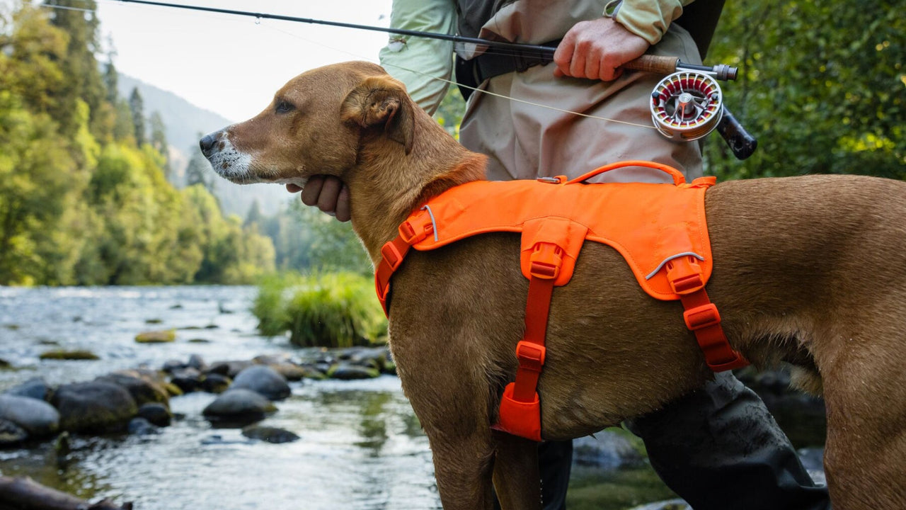 パッド入りハンドル