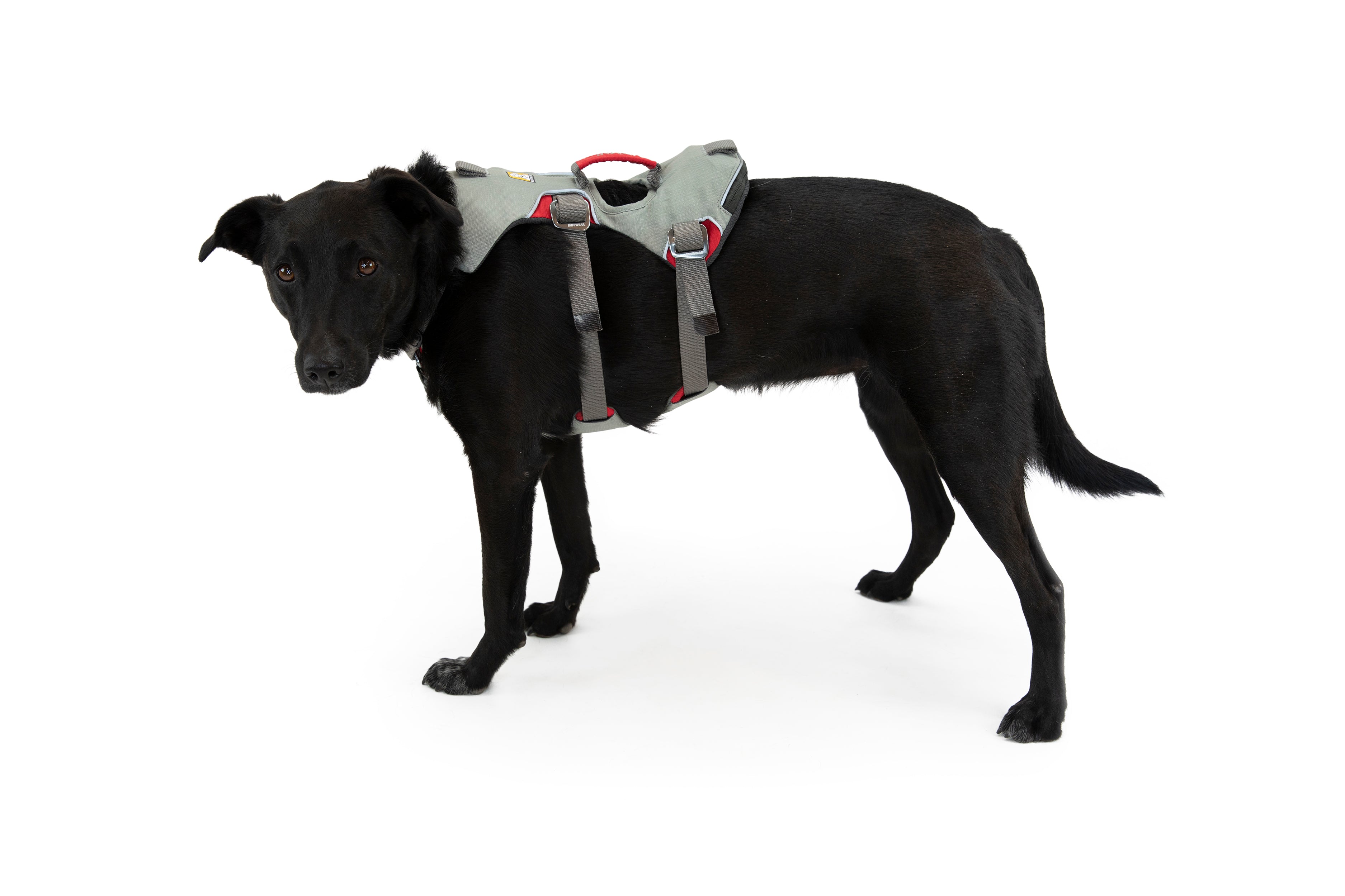 ダブルバックハーネス | Ruffwear JAPAN
