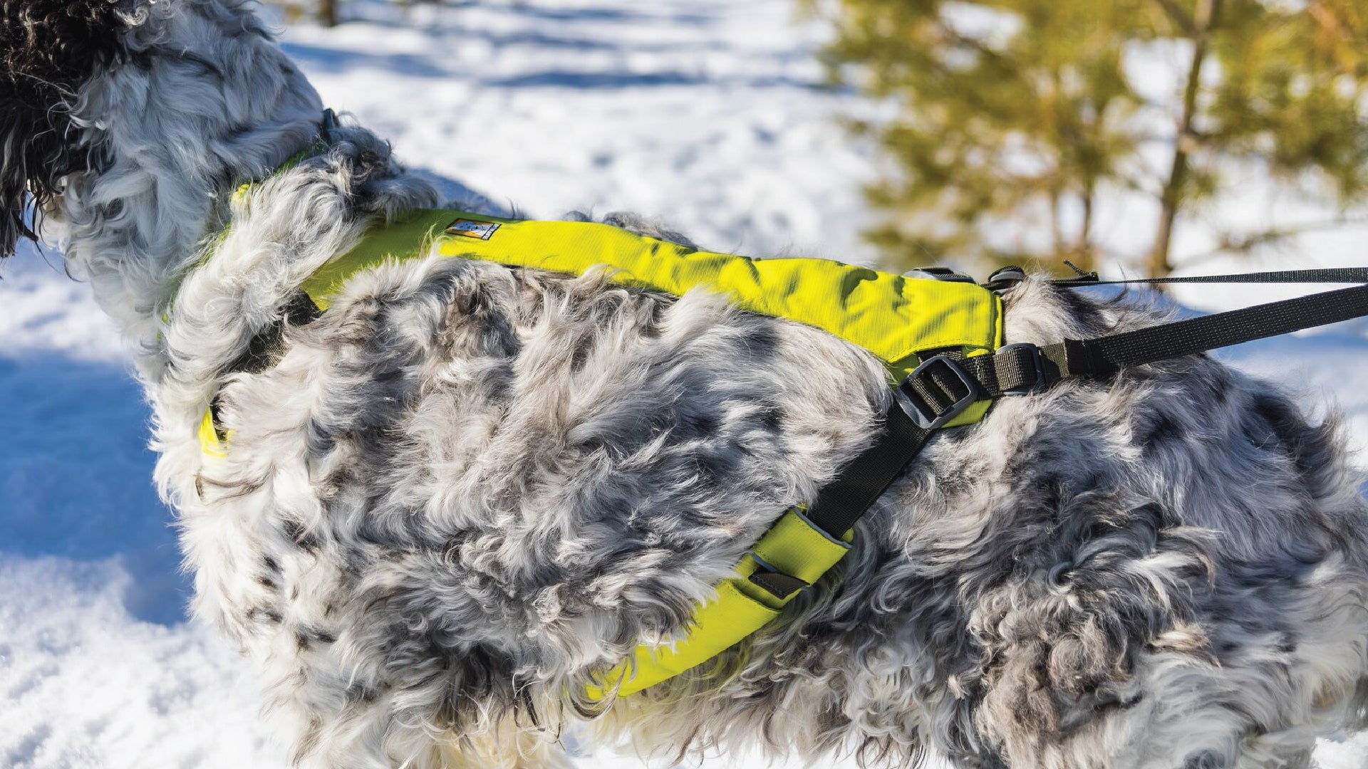 ★新品未使用★【ruffwear】オムニジョア ジョーリング システム（S） オムニジョアドッグジョリングシステム | スキジョリング、バイクジョ