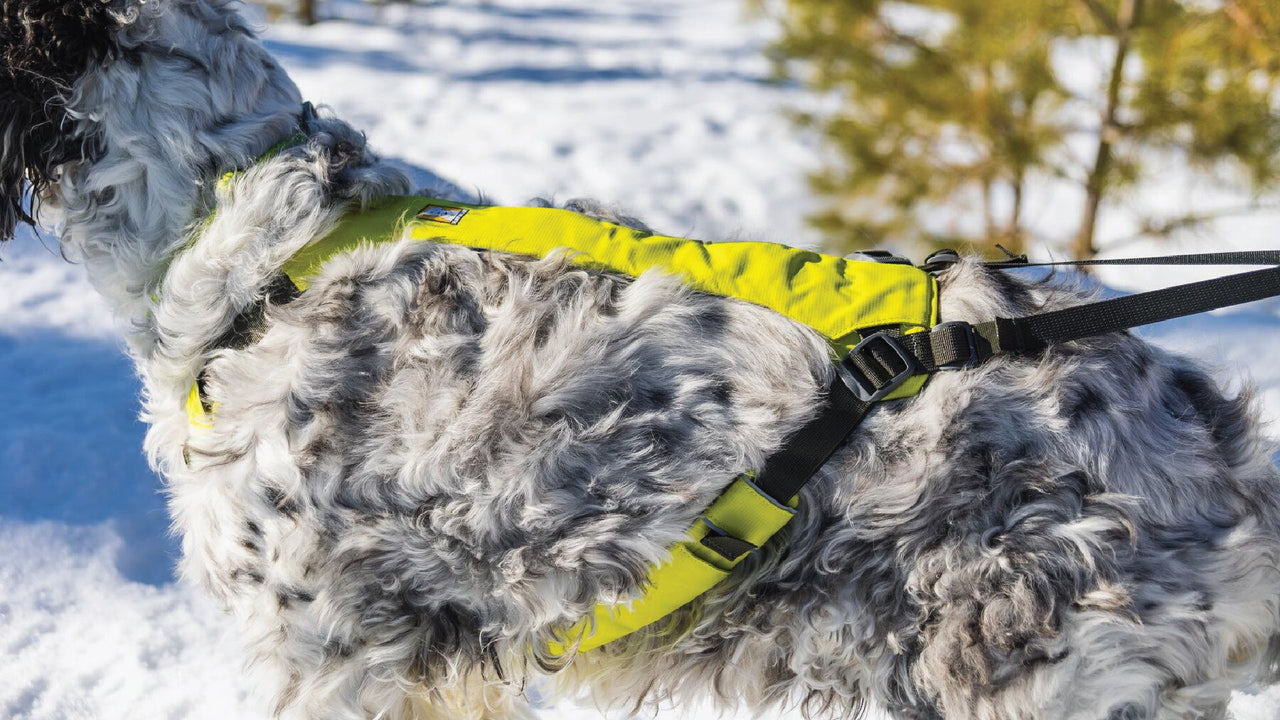 引っ張るために作られた