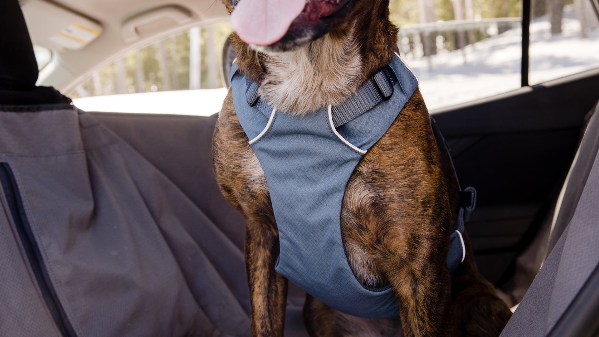 Amazon | RUFFWEAR(ラフウェア) 公式 ロードアップハーネス