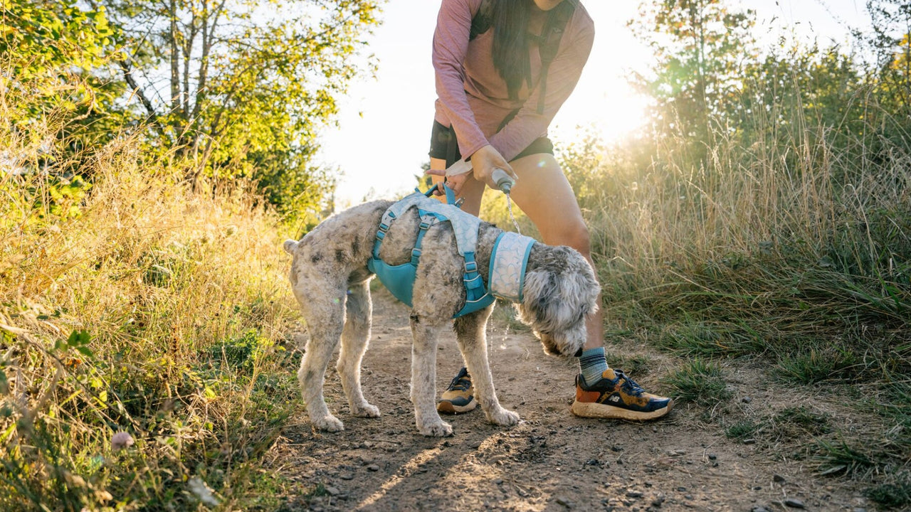 パッド入りハンドル