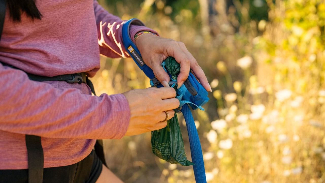 持ち運びに便利
