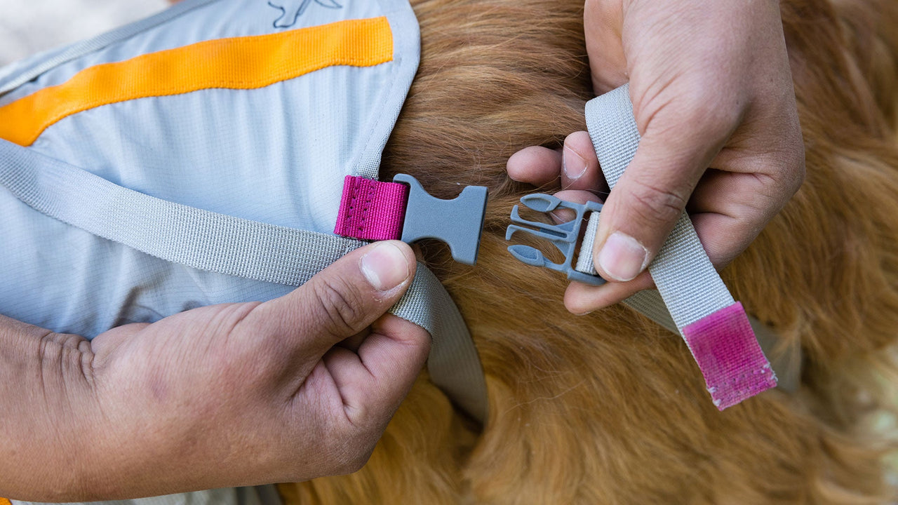 カラーコード付きストラップ