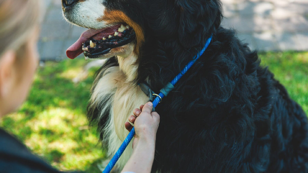 ユニバーサルフィット