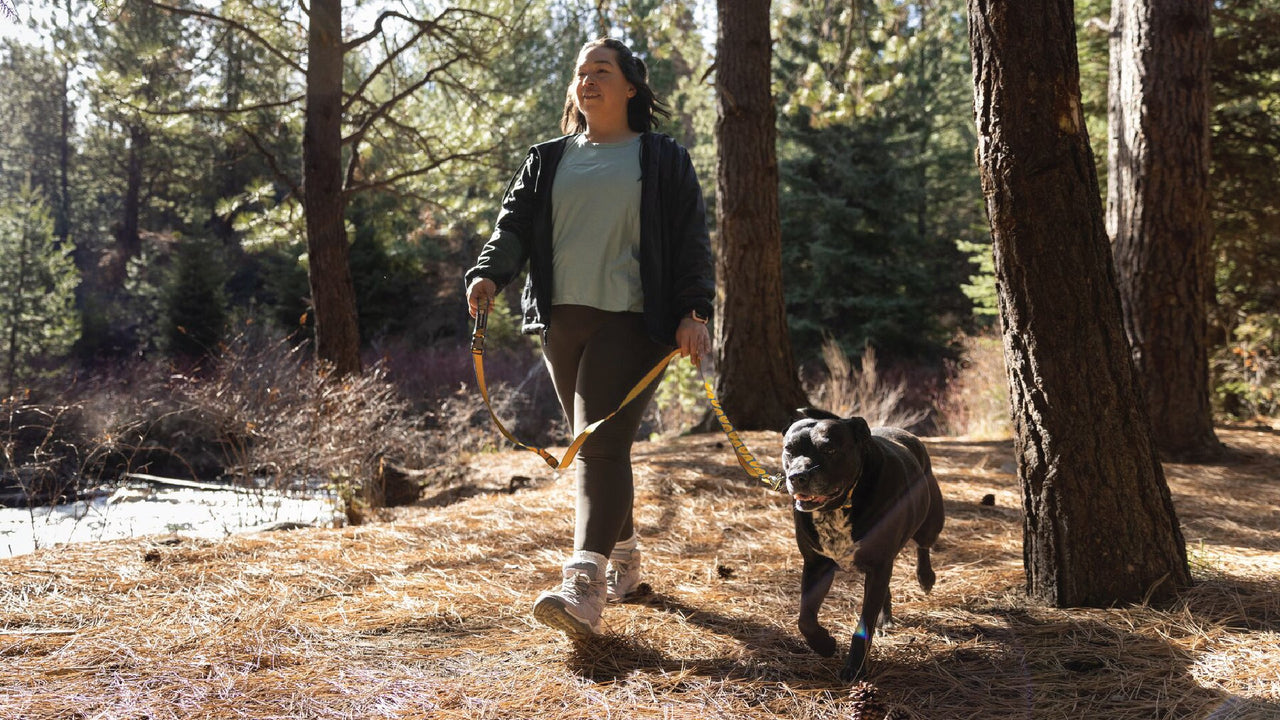 手持ちまたはハンズフリー