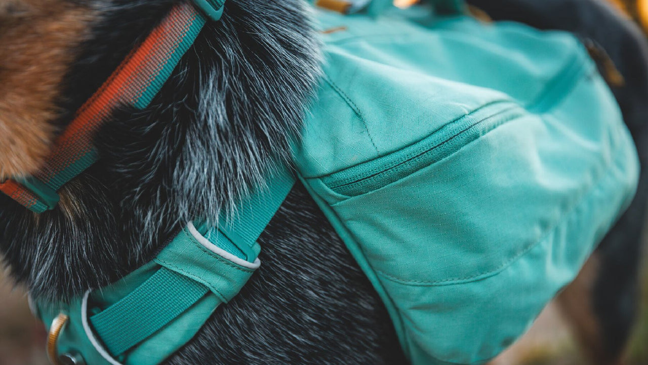 安定したギアキャリー