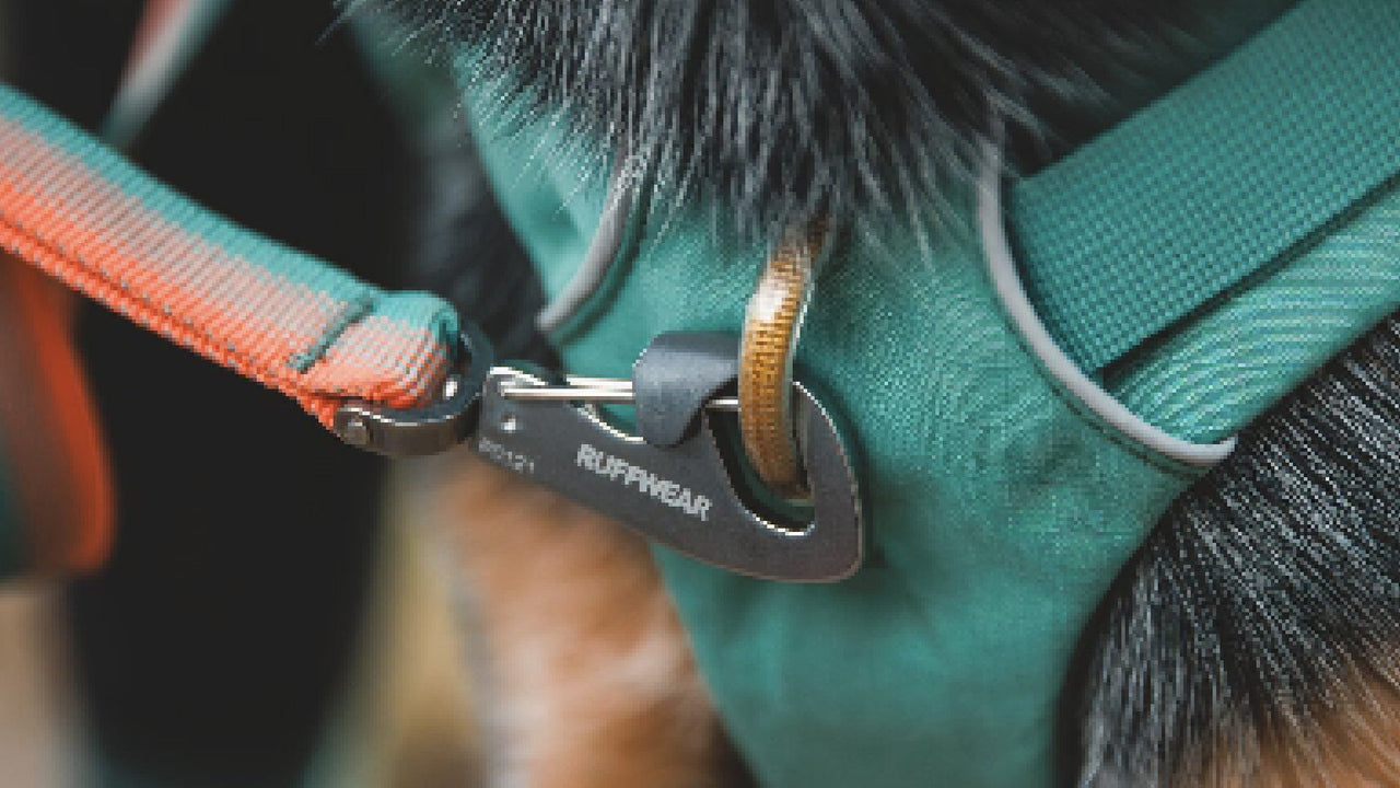 3 つのリーシュ取り付けポイント