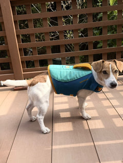 すぅ