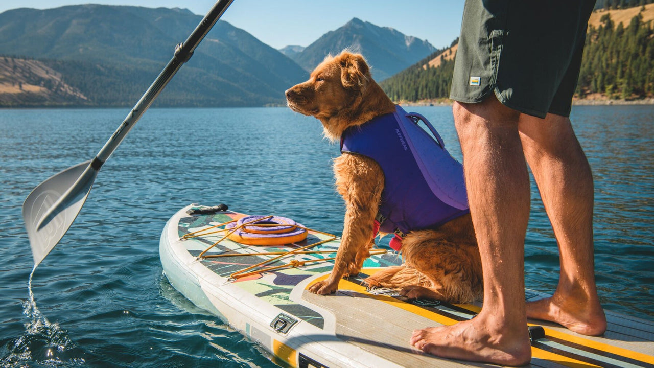 大きなサイズで見つけやすい