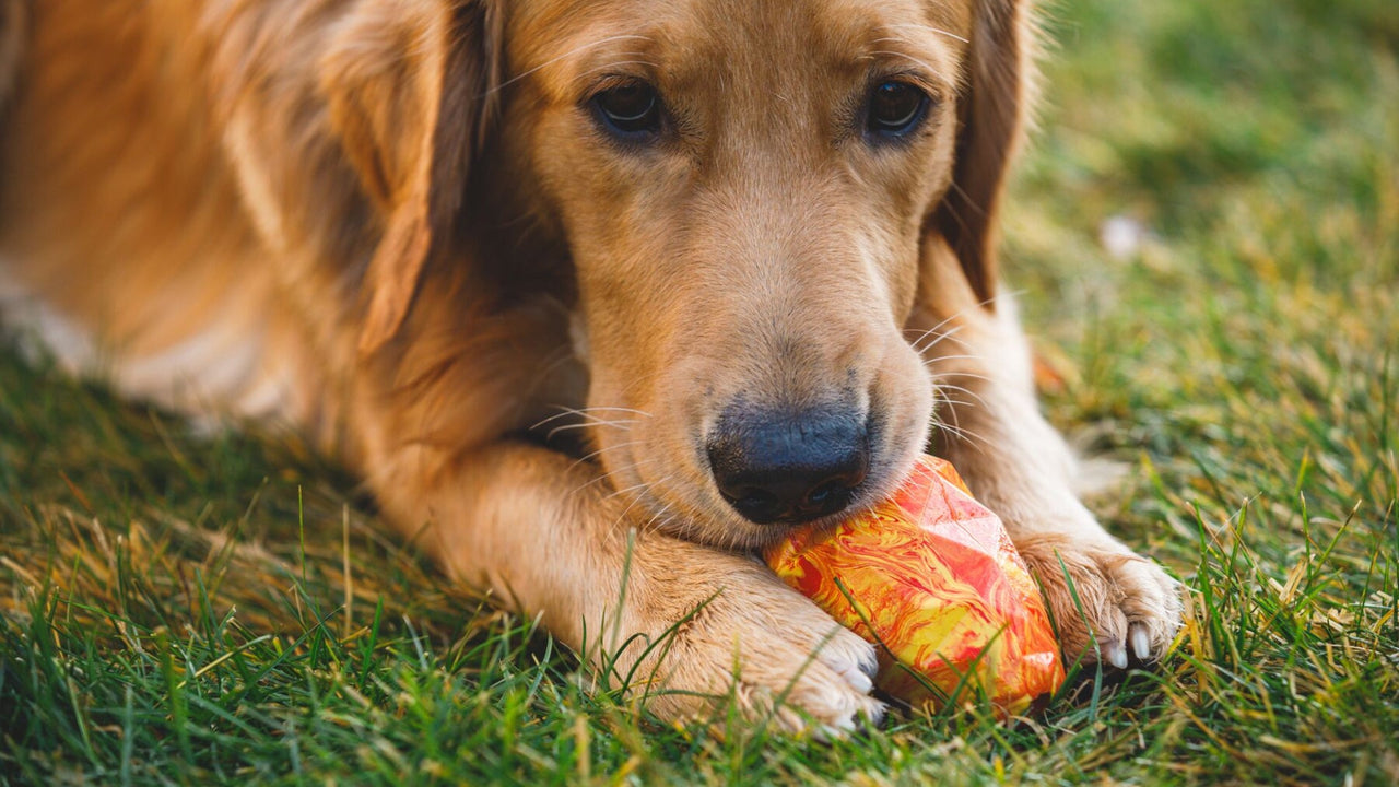 おやつを入れる