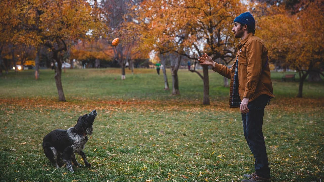 不規則なバウンス