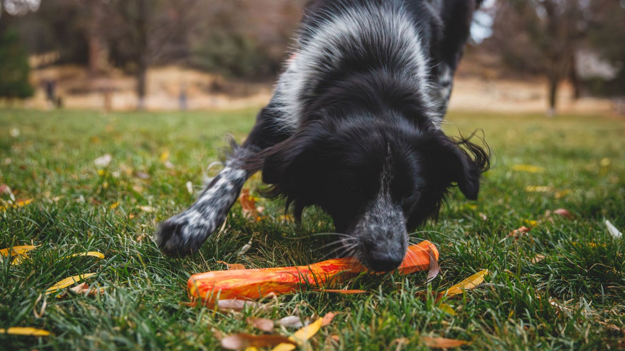 不規則なバウンス