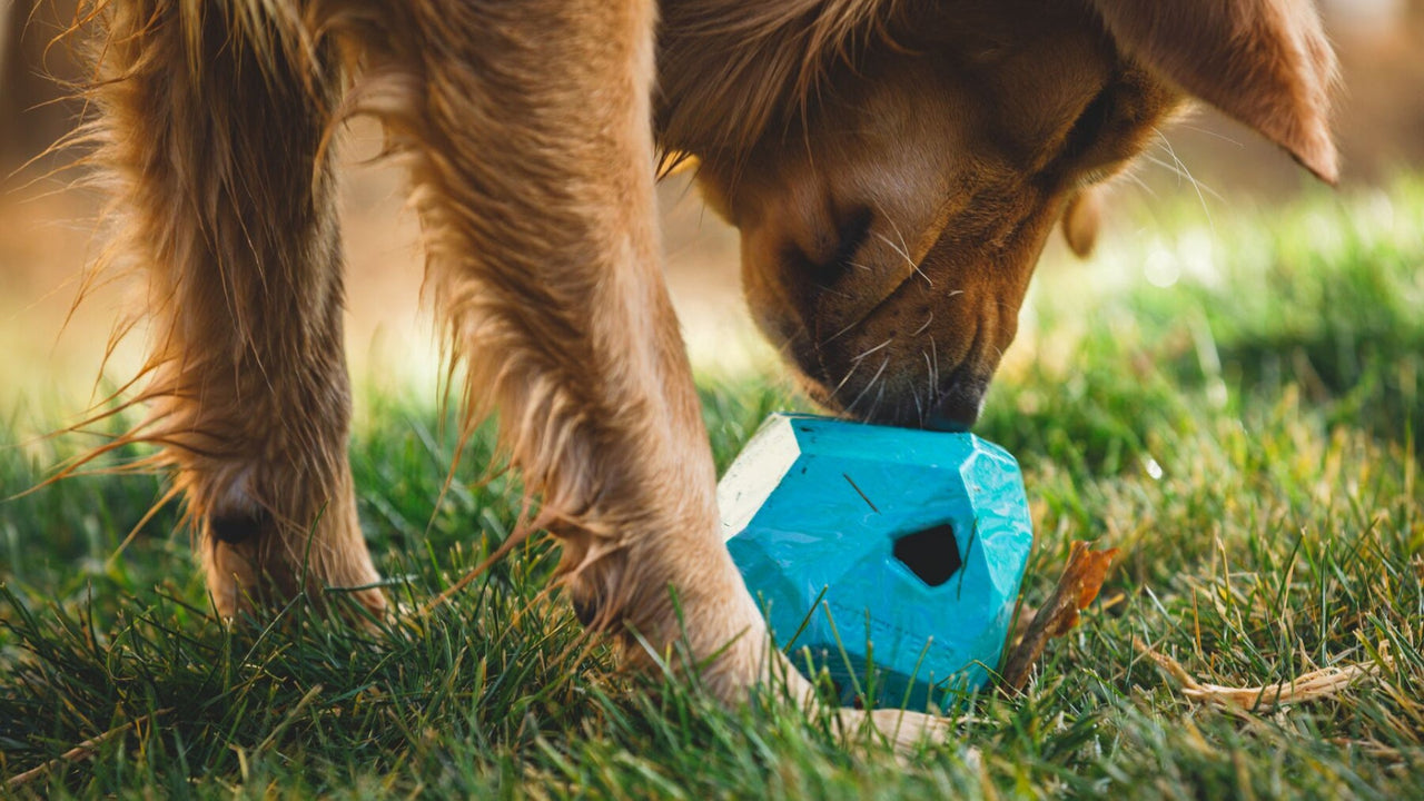 おやつを入れる