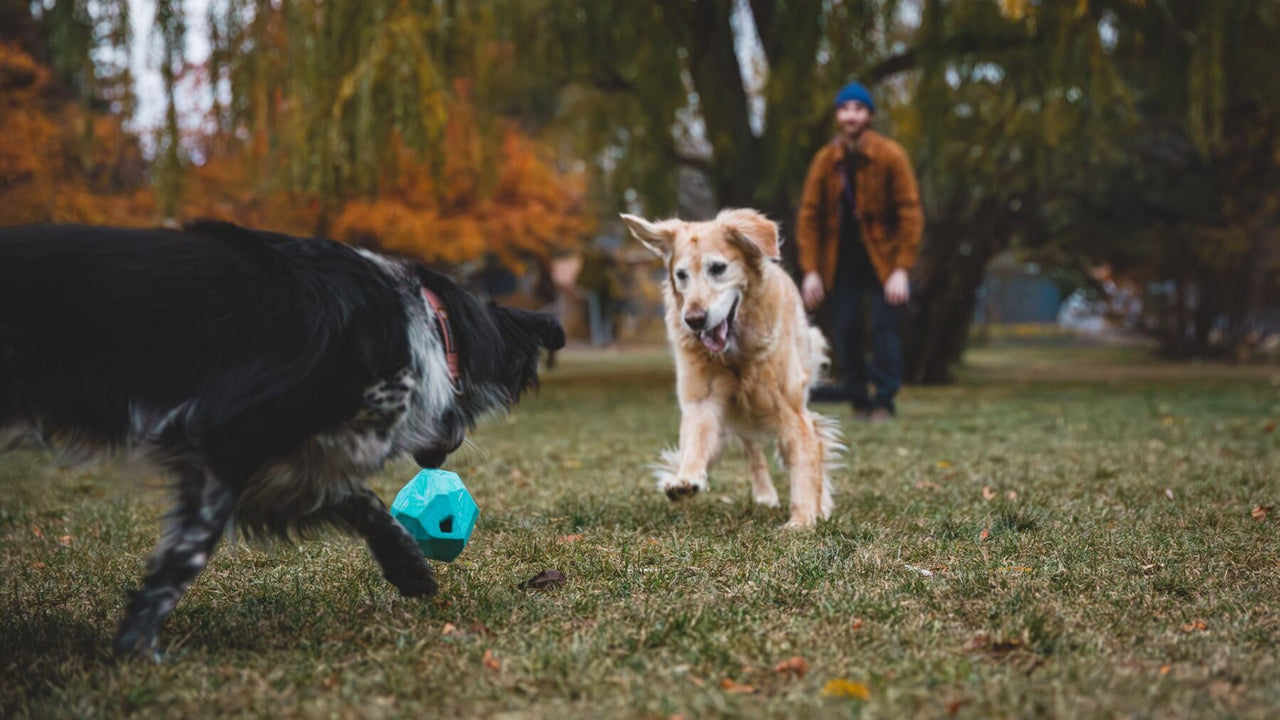 不規則なバウンス