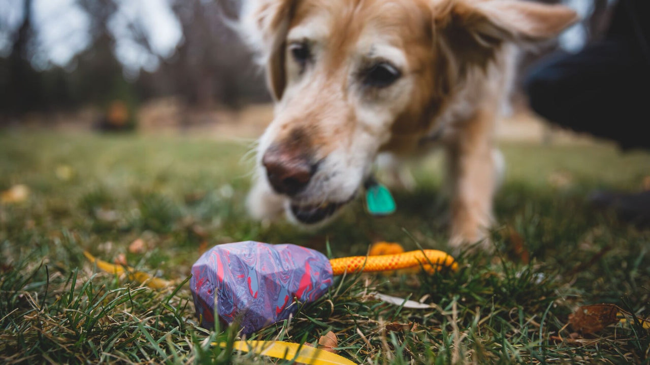 耐久性のあるゴム