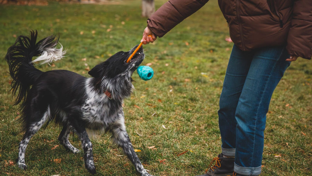 不規則なバウンス