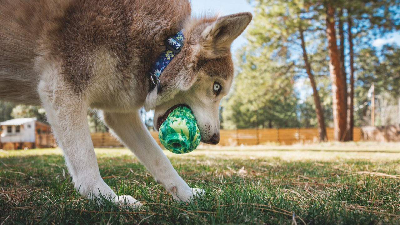 おやつが収納できる