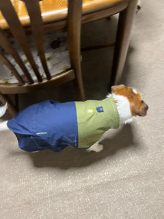 おこげ