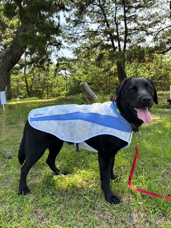 RUFFWEAR(ラフウェア) スワンプクーラーベスト セージグリーン XX-S Amazon | RUFFWEAR(ラフウェア) スワンプクーラーベスト セージ
