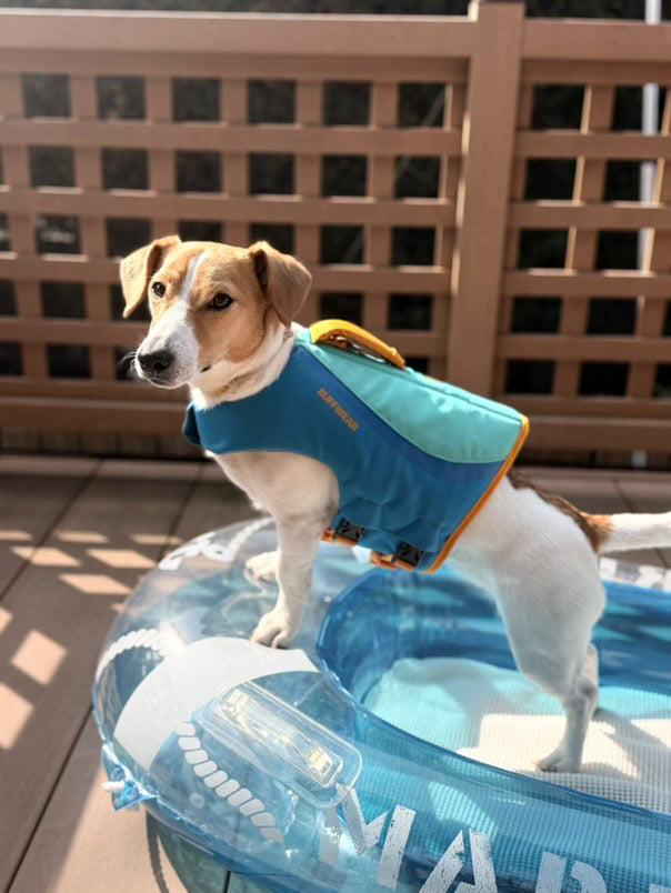 すぅ