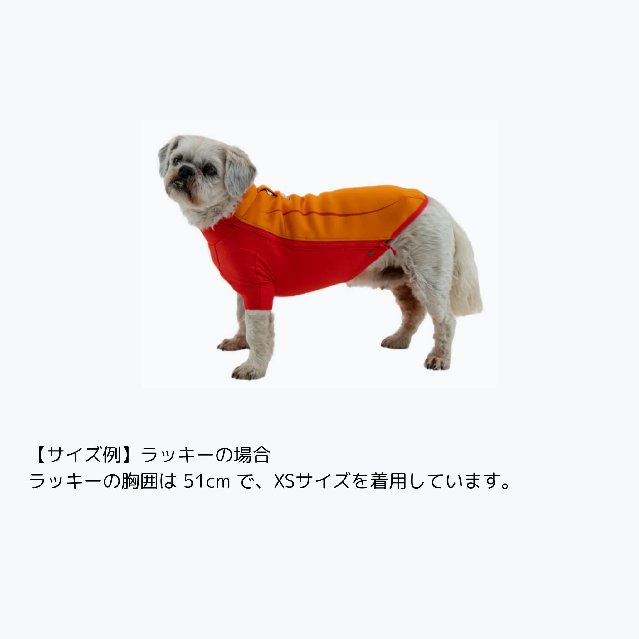 アンダーコートジャケット | 犬用ウェットスーツ | Ruffwear JAPAN アンダーコートジャケット | 犬用ウェットスーツ | Ruffwear JAPAN