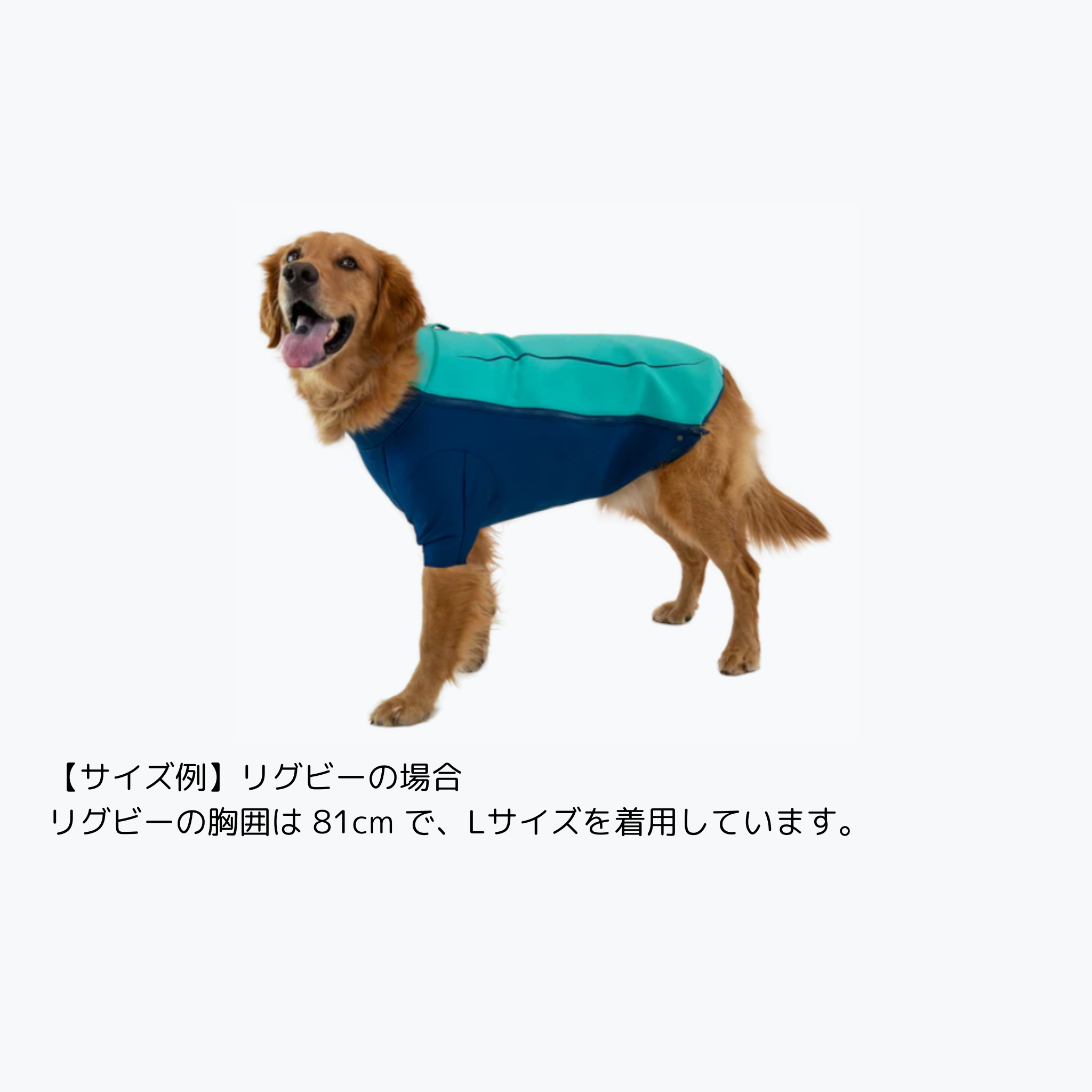 モンベル　ラフウェア　アンダーコートウォータージャケット(RUFFWEAR) Undercoat™ Jacket | Dog Wetsuit | Ruffwear