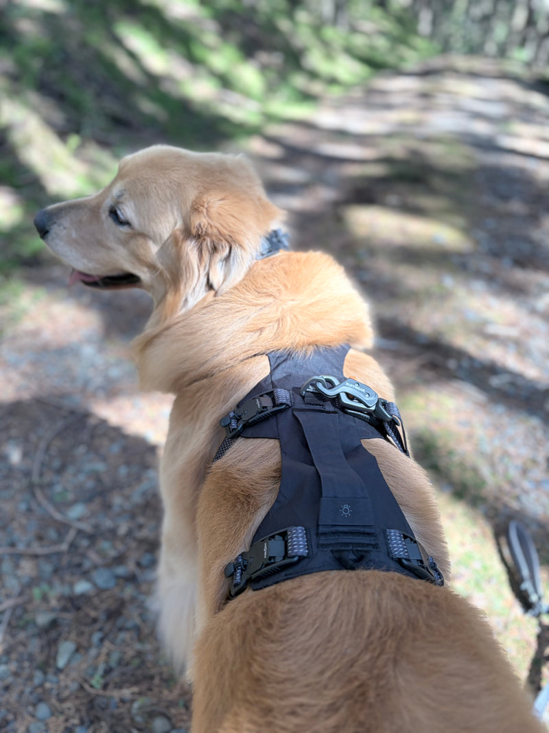 リッジラインハーネス | Ruffwear JAPAN