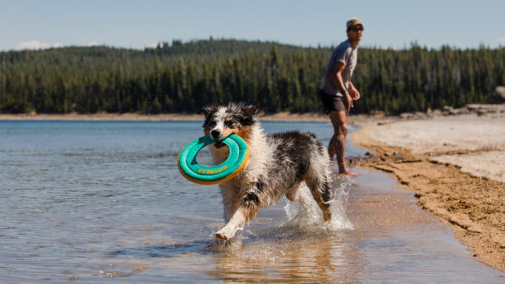 ハイドロプレーンについて Video Thumbnail