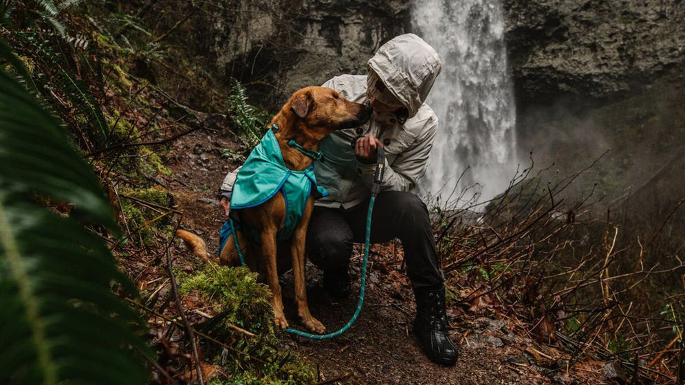 ノットアカラーについて Video Thumbnail