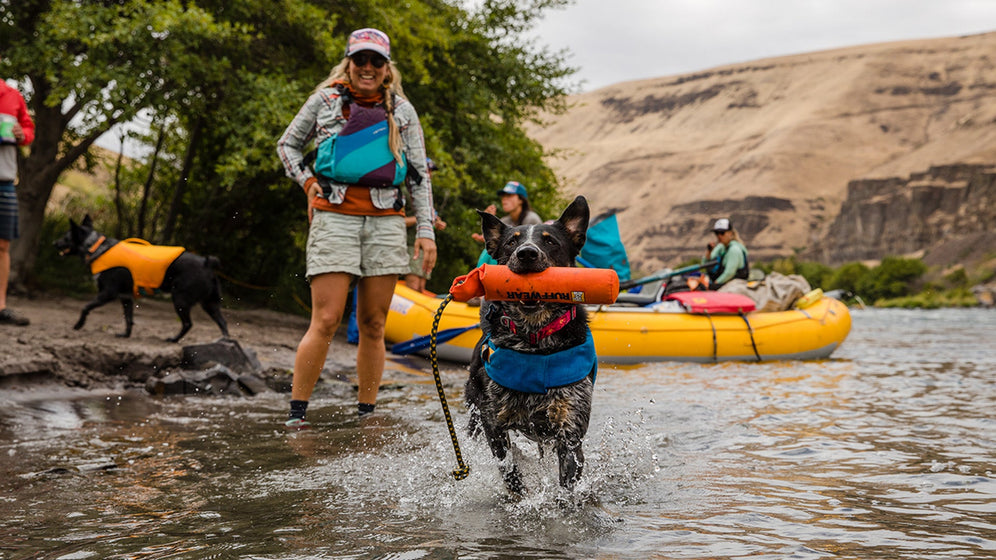 ランカーについて Video Thumbnail