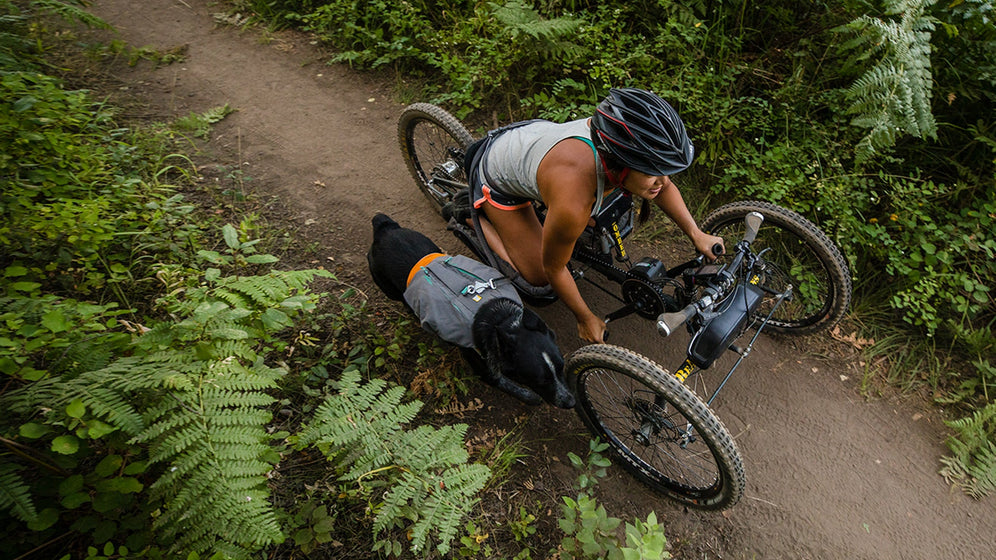 スイッチバックハーネスについて Video Thumbnail