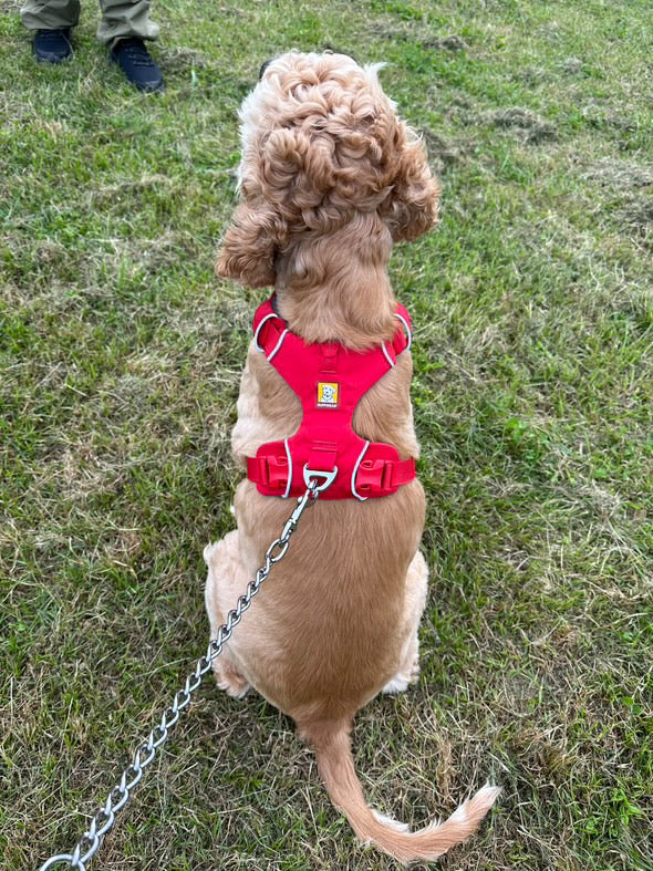 RUFFWEAR ラフウェア フロントレンジハーネス フロントレンジハーネス | Ruffwear JAPAN
