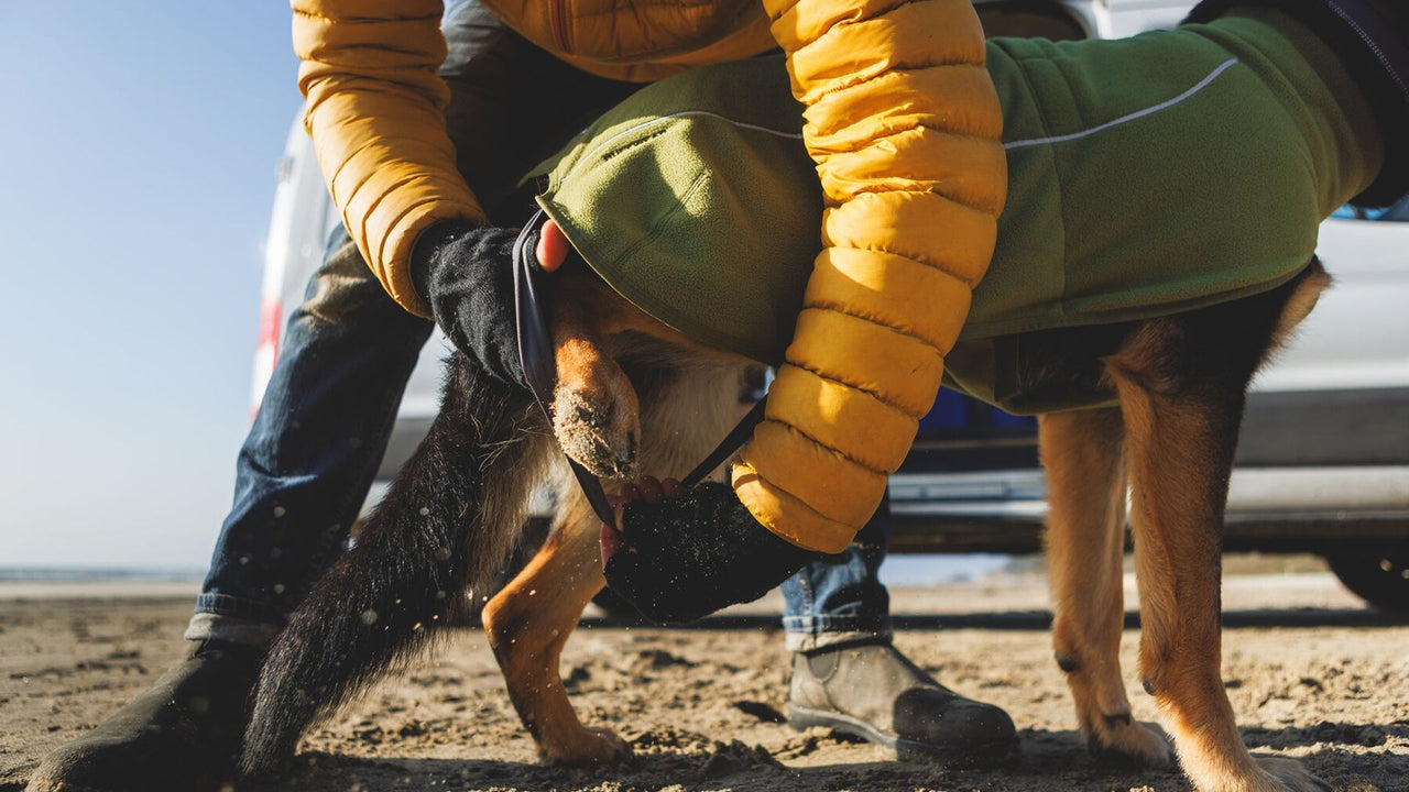 幅広くカバーするデザイン