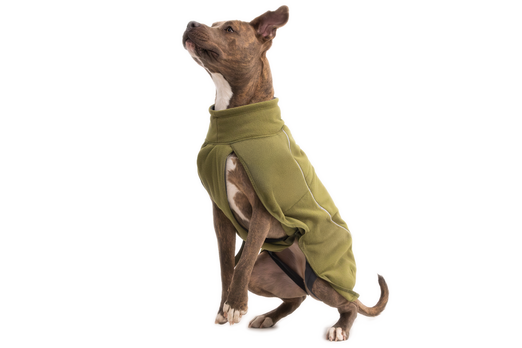 ラフウェア クライメットチェンジャー ドッグフリース RUFFWEAR 緑 XS クライメットチェンジャーフリースベスト | Ruffwear JAPAN