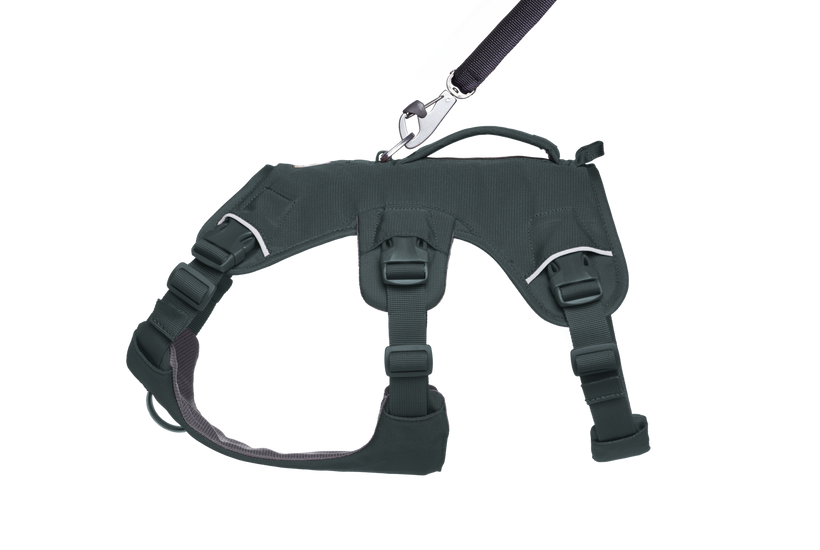 ウェブマスタードッグハーネス(SS25) | Ruffwear JAPAN ウェブマスタードッグハーネス(SS25) | Ruffwear JAPAN