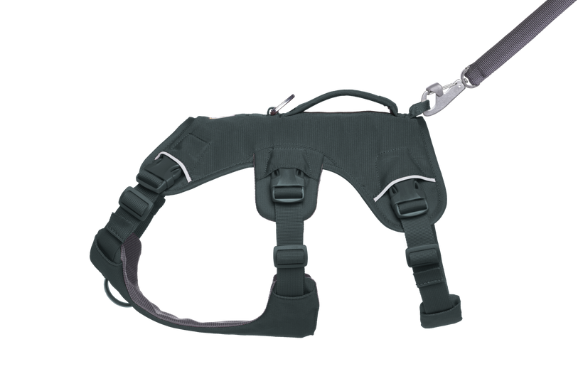 ウェブマスタードッグハーネス(SS25) | Ruffwear JAPAN ウェブマスタードッグハーネス(SS25) | Ruffwear JAPAN