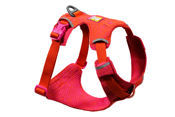 Dog Harnesses: Strong & Secure | Ruffwear | Ruffwear JAPAN Dog Harnesses: Strong & Secure | Ruffwear | Ruffwear JAPAN
