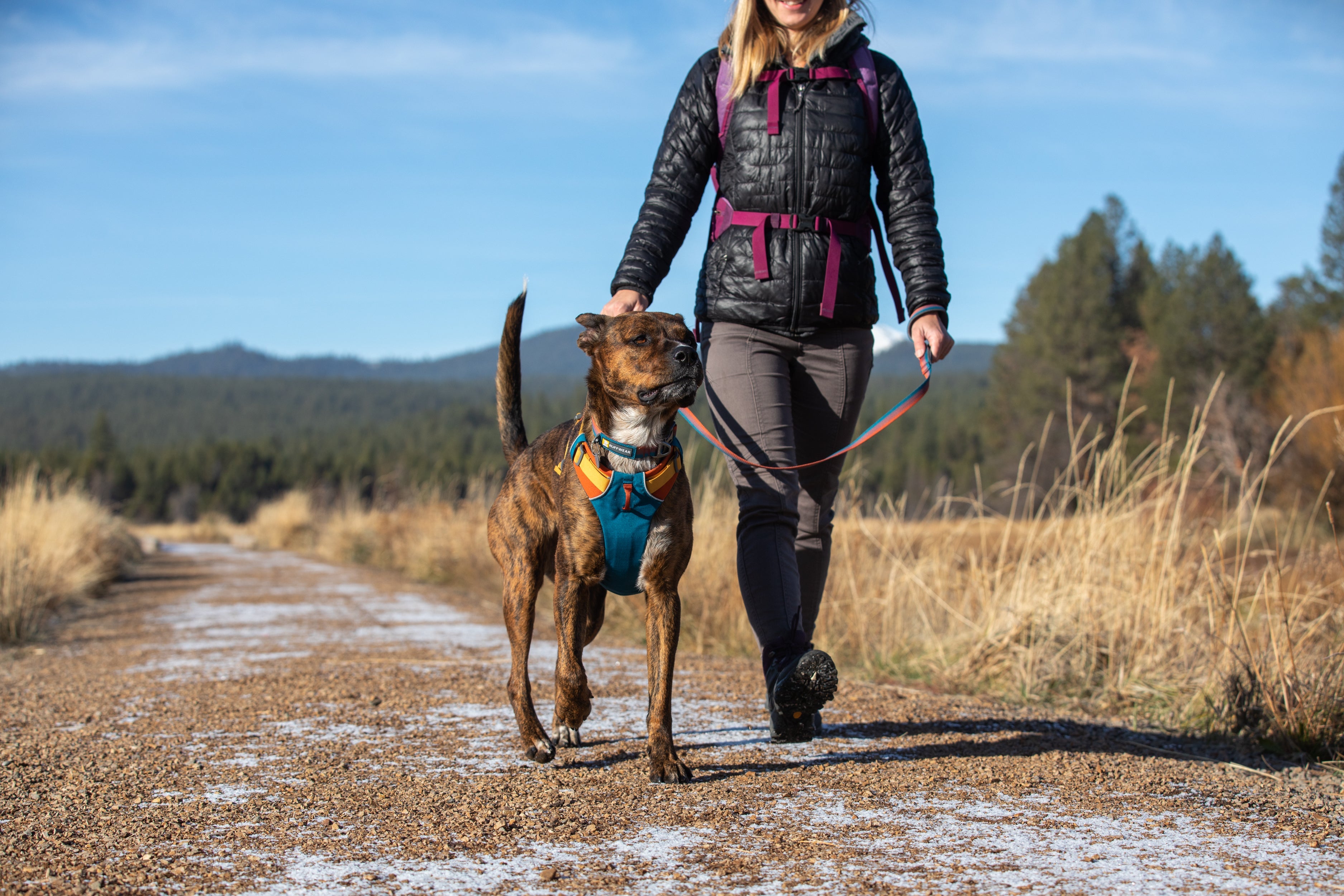 Limited Edition | Ruffwear JAPAN