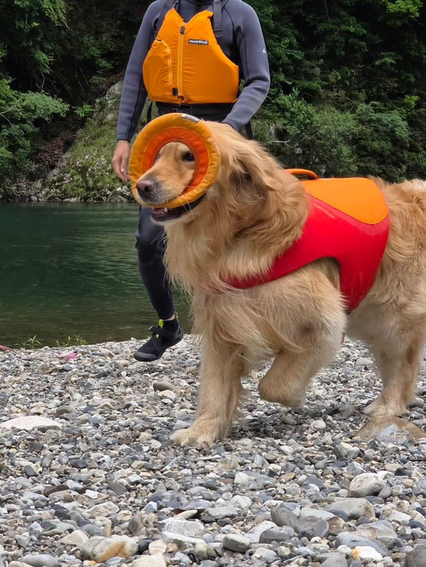 アル